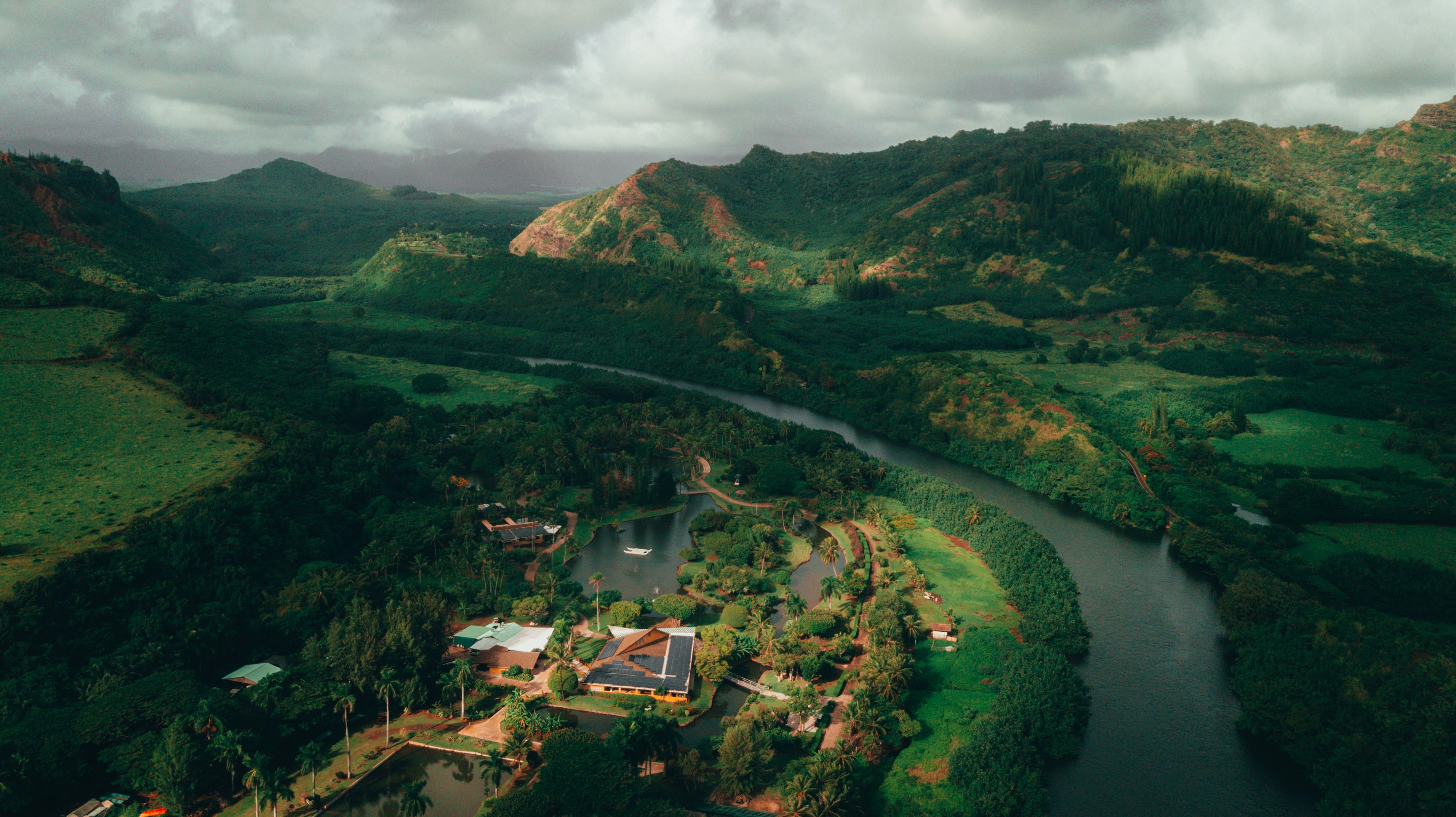 aerial view of green trees and mountains during daytime